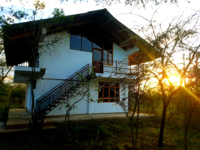 Sundance at golden hour with acacia trees